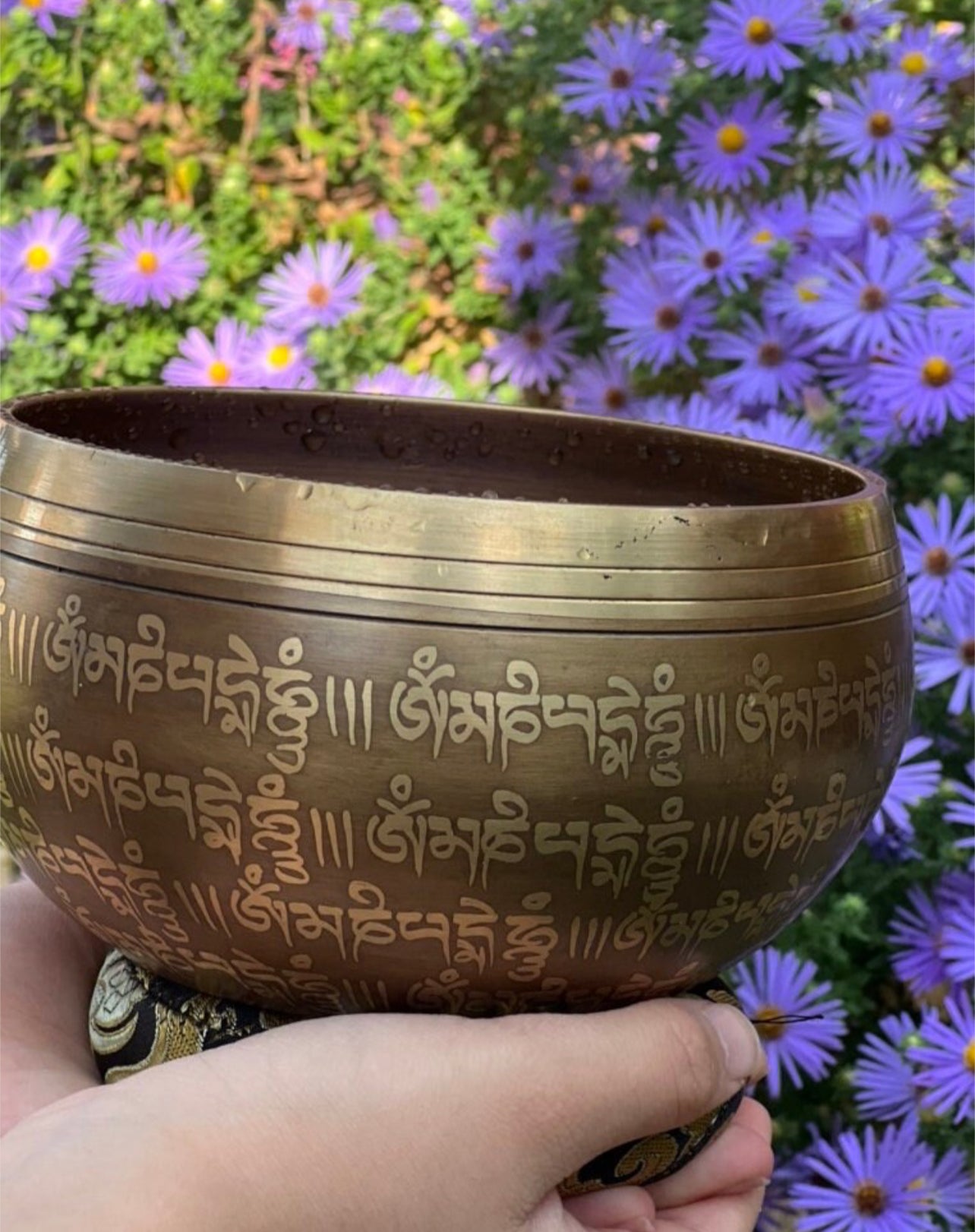 Ohm Carved Eternity Singing Bowl